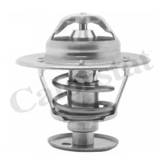 Thermostat d'eau CALORSTAT BY VERNET TH5981.89J