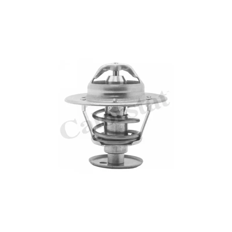 Thermostat d'eau CALORSTAT BY VERNET TH5981.89J