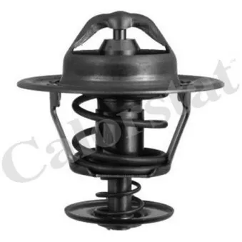 Thermostat d'eau CALORSTAT BY VERNET TH6007.88J