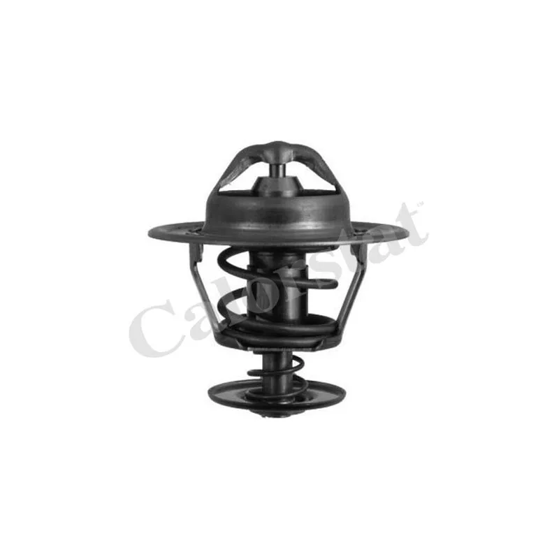 Thermostat d'eau CALORSTAT BY VERNET TH6007.88J