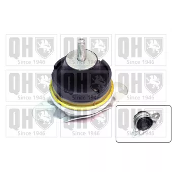 Support moteur QUINTON HAZELL EM4219
