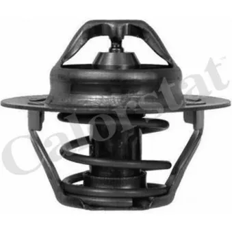 Thermostat d'eau CALORSTAT BY VERNET TH6045.83J