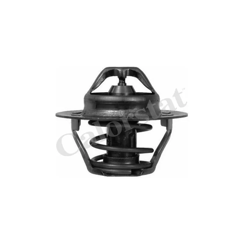 Thermostat d'eau CALORSTAT BY VERNET TH6045.83J