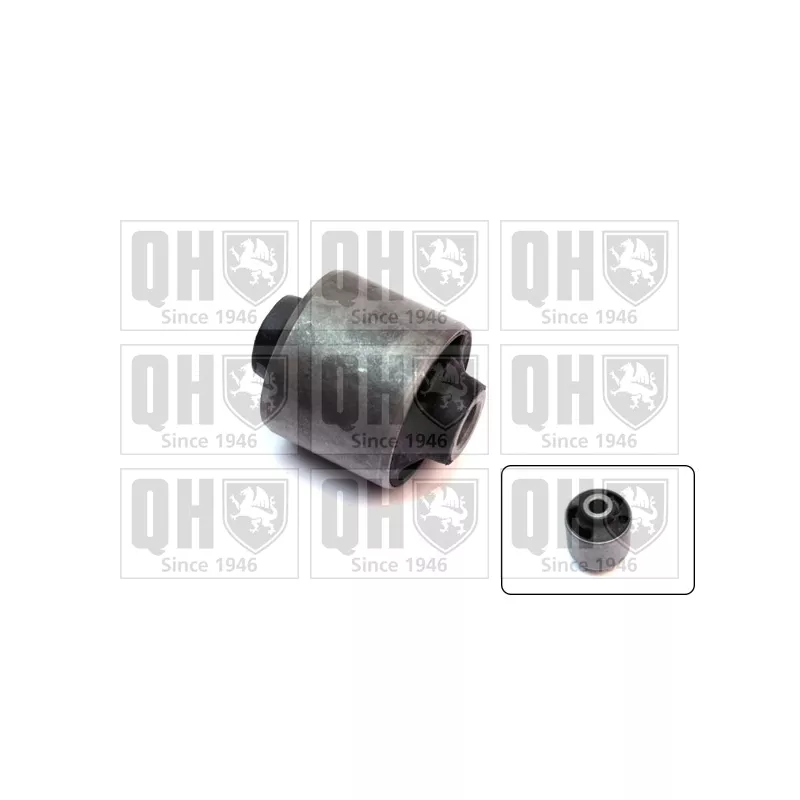Support moteur QUINTON HAZELL EM4244