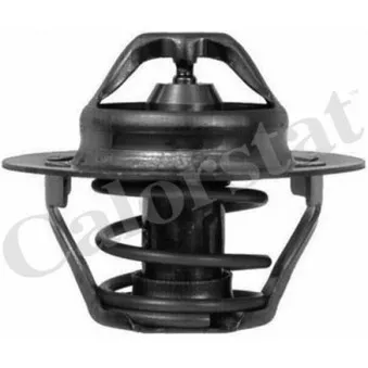 Thermostat d'eau CALORSTAT BY VERNET TH6047.75J