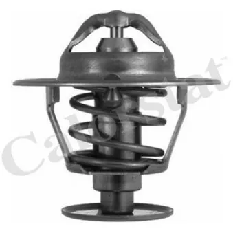 Thermostat d'eau CALORSTAT BY VERNET TH6063.82J
