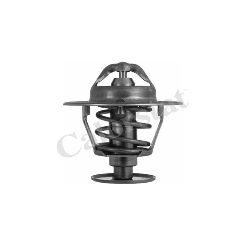 Thermostat d'eau CALORSTAT BY VERNET TH6063.82J