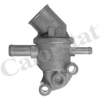 Thermostat d'eau CALORSTAT BY VERNET