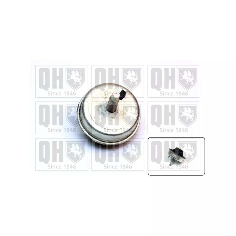 Support moteur QUINTON HAZELL EM4480