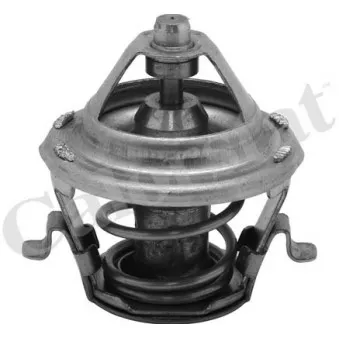 Thermostat d'eau CALORSTAT BY VERNET TH6231.88J