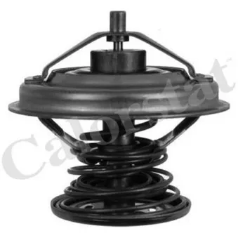 Thermostat d'eau CALORSTAT BY VERNET TH6242.92J