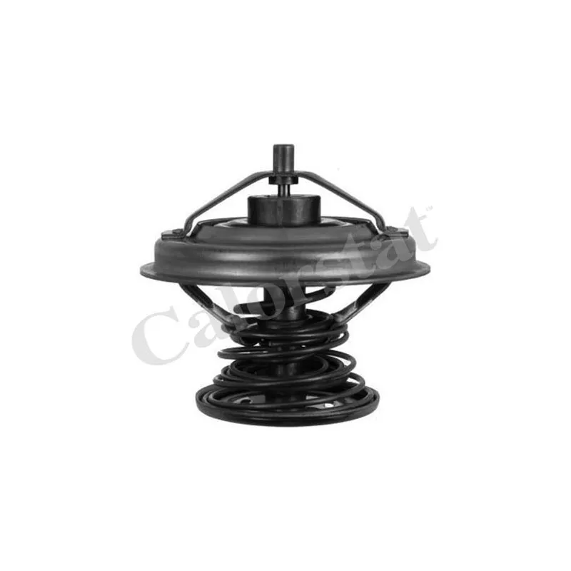 Thermostat d'eau CALORSTAT BY VERNET TH6242.92J