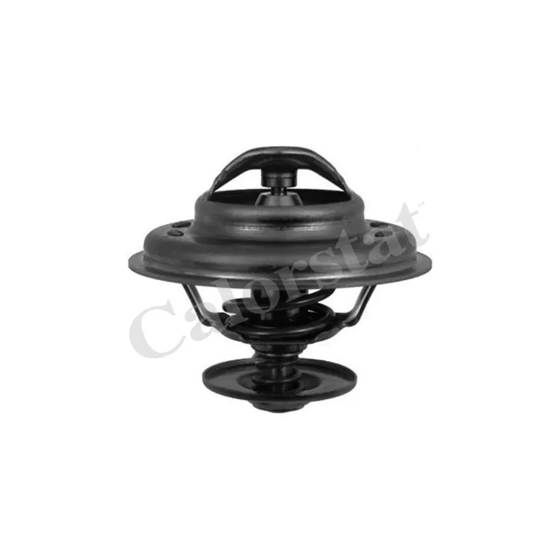 Thermostat d'eau CALORSTAT BY VERNET TH6243.92J