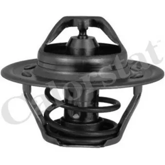 Thermostat d'eau CALORSTAT BY VERNET TH6244.92J
