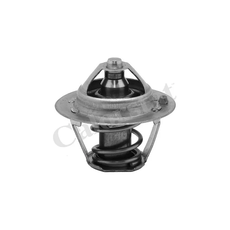 Thermostat d'eau CALORSTAT BY VERNET TH6245.82J