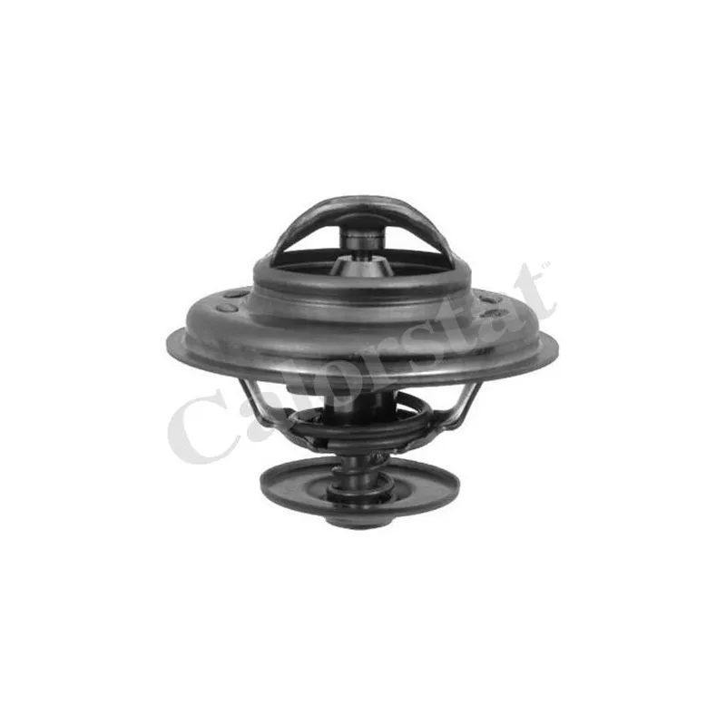 Thermostat d'eau CALORSTAT BY VERNET TH6246.88J