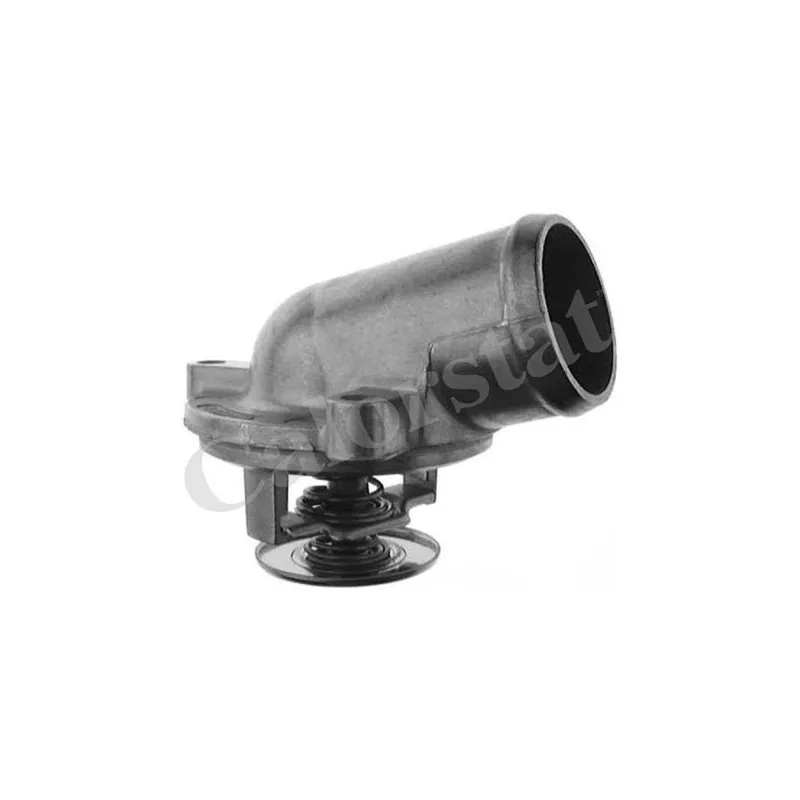 Thermostat d'eau CALORSTAT BY VERNET TH6247.87J