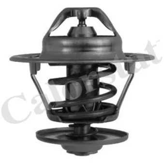 Thermostat d'eau CALORSTAT BY VERNET TH6248.87J