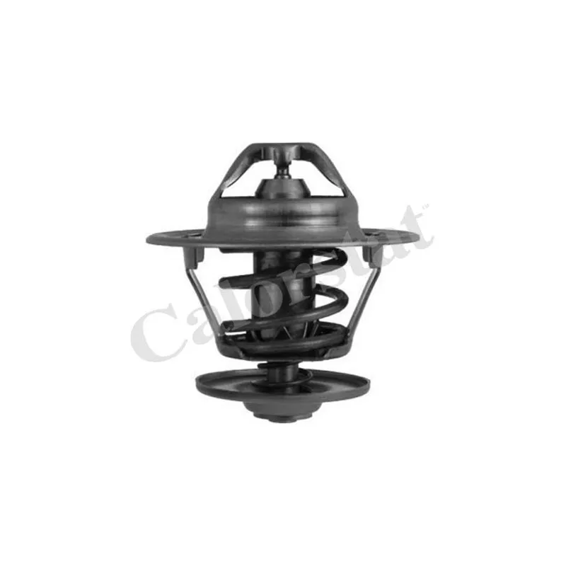 Thermostat d'eau CALORSTAT BY VERNET TH6248.87J