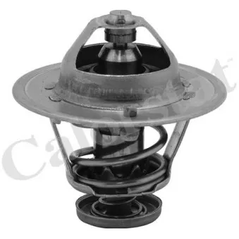 Thermostat d'eau CALORSTAT BY VERNET TH6252.82J
