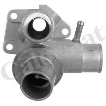 Thermostat d'eau CALORSTAT BY VERNET TH6253.80J
