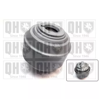 Support moteur QUINTON HAZELL EM4800