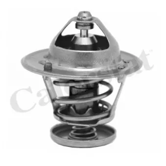 Thermostat d'eau CALORSTAT BY VERNET TH6267.82J