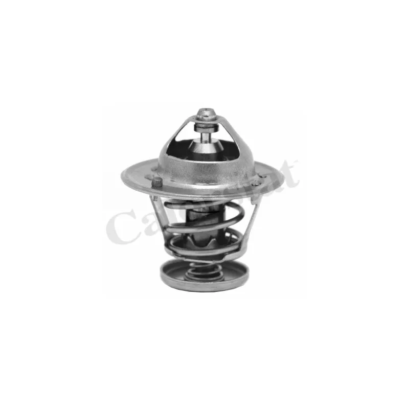 Thermostat d'eau CALORSTAT BY VERNET TH6267.82J