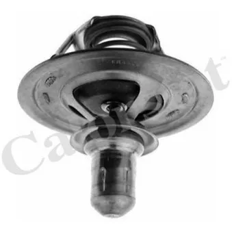 Thermostat d'eau CALORSTAT BY VERNET TH6270.85J