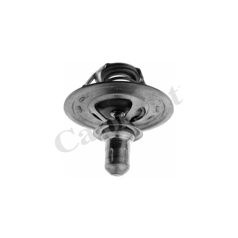 Thermostat d'eau CALORSTAT BY VERNET TH6270.85J