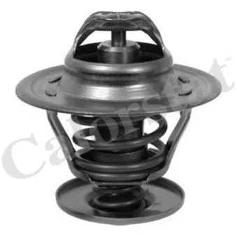 Thermostat d'eau CALORSTAT BY VERNET TH6273.87J