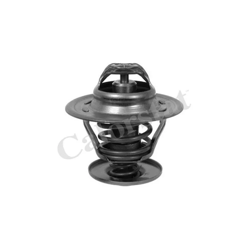 Thermostat d'eau CALORSTAT BY VERNET TH6273.87J