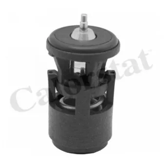 Thermostat d'eau CALORSTAT BY VERNET TH6274.80J