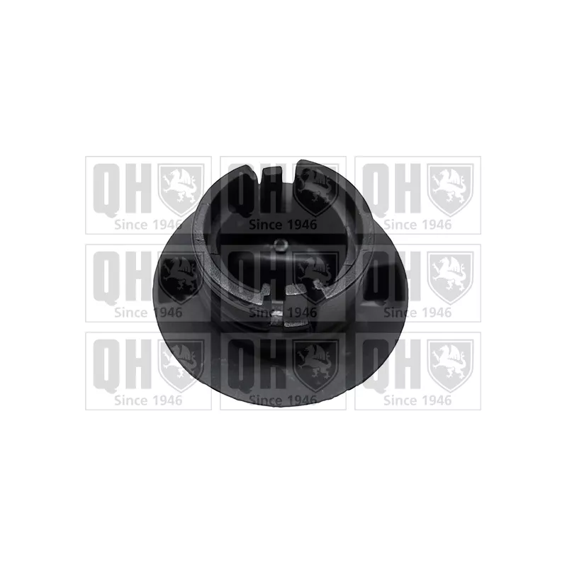 Bouchon, goulotte de remplissage d'huile QUINTON HAZELL FC584