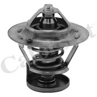 Thermostat d'eau CALORSTAT BY VERNET TH6275.78J