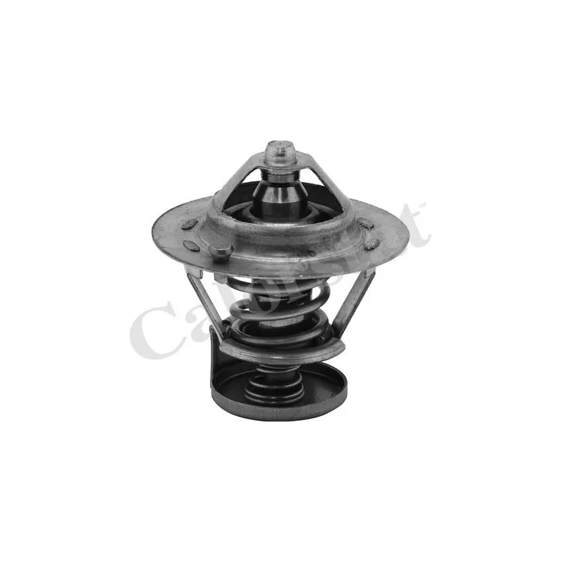 Thermostat d'eau CALORSTAT BY VERNET TH6275.84J