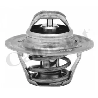Thermostat d'eau CALORSTAT BY VERNET TH6276.87J