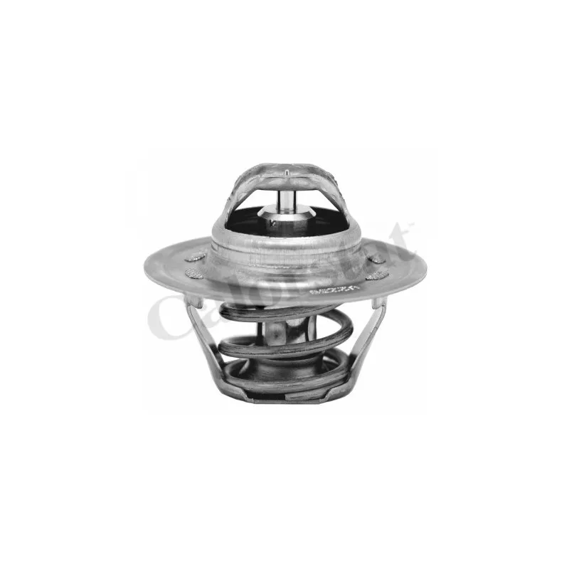 Thermostat d'eau CALORSTAT BY VERNET TH6276.87J