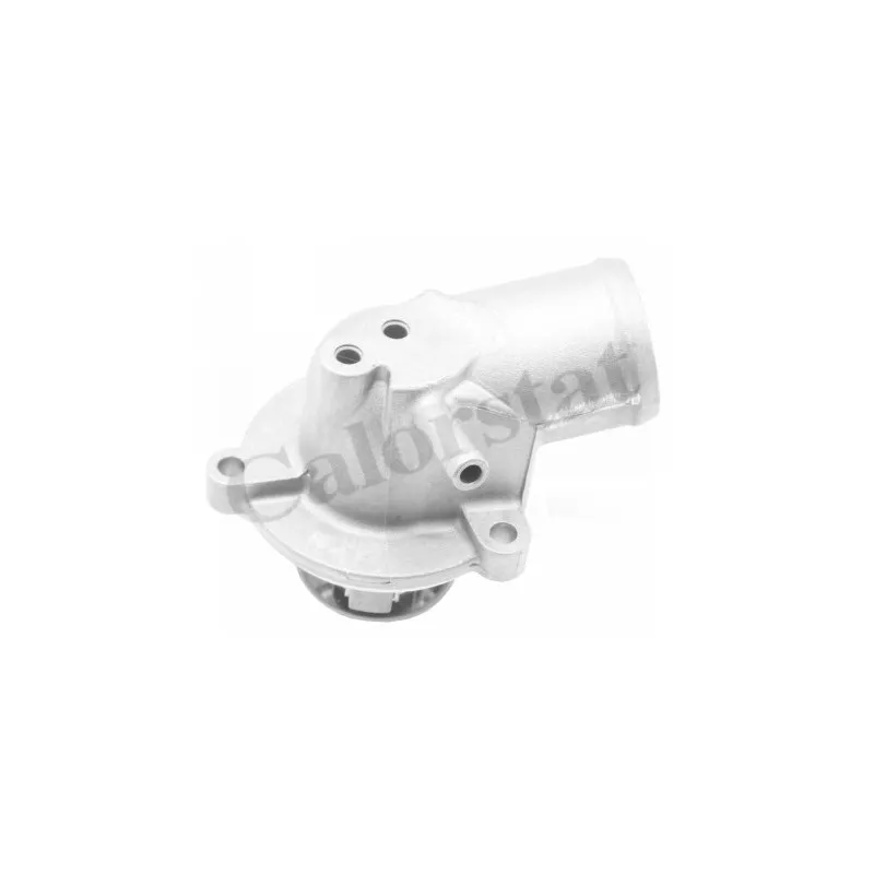 Thermostat d'eau CALORSTAT BY VERNET TH6285.87J