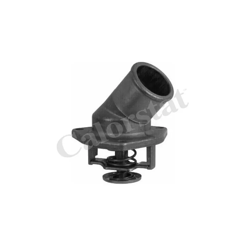 Thermostat d'eau CALORSTAT BY VERNET TH6286.92J