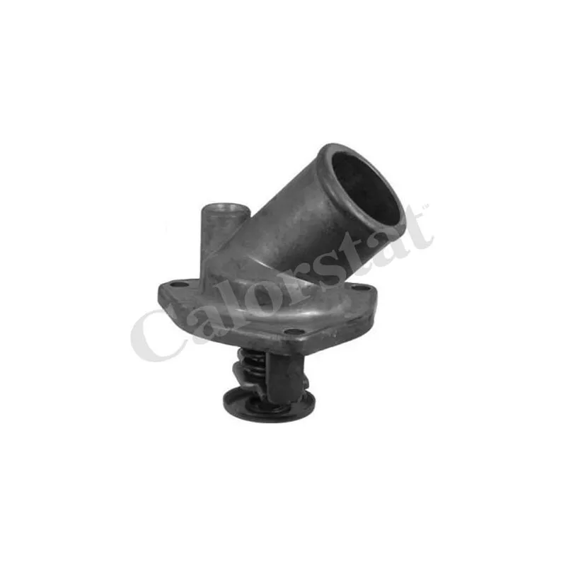 Thermostat d'eau CALORSTAT BY VERNET TH6287.82J