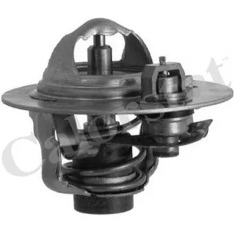 Thermostat d'eau CALORSTAT BY VERNET TH6292.88J