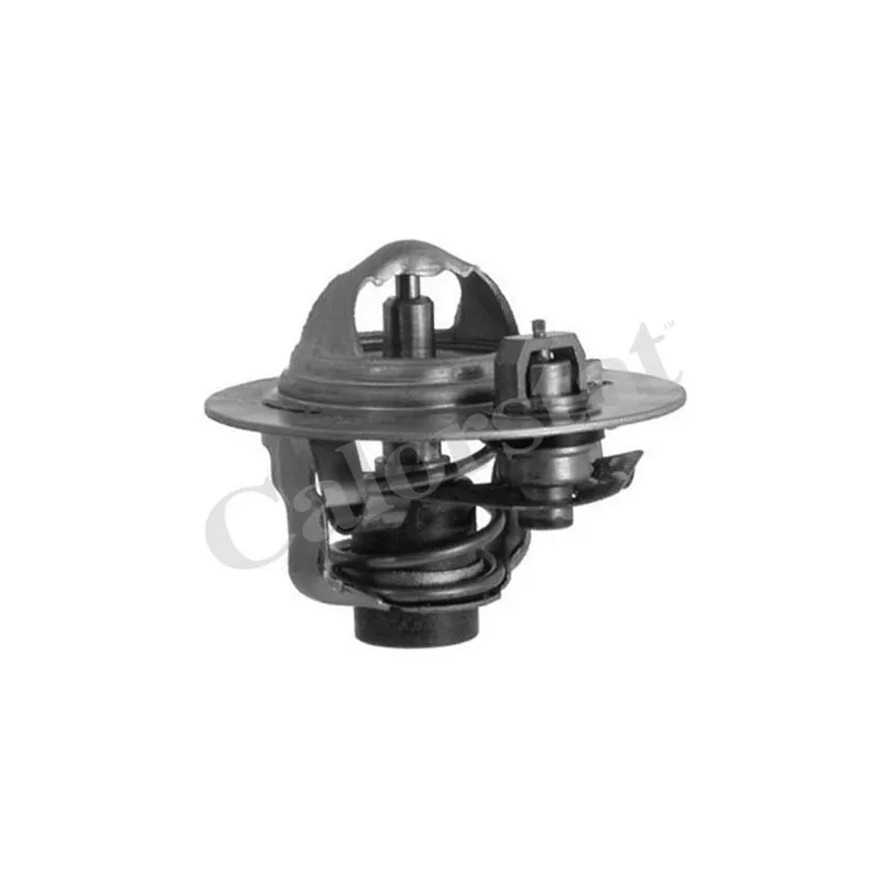 Thermostat d'eau CALORSTAT BY VERNET TH6292.88J
