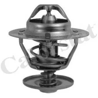 Thermostat d'eau CALORSTAT BY VERNET TH6293.82J