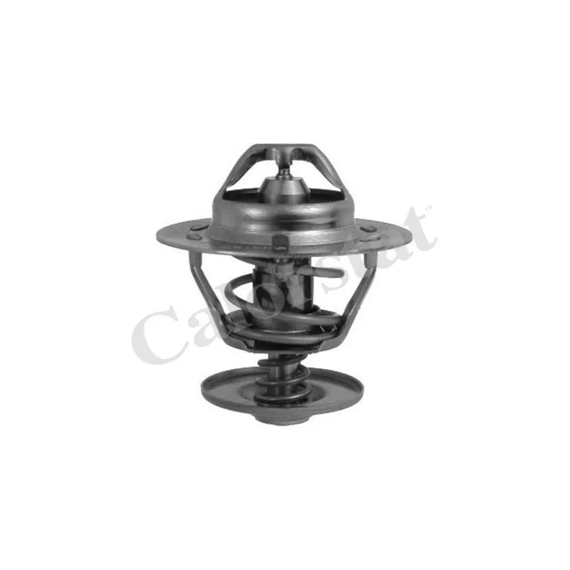Thermostat d'eau CALORSTAT BY VERNET TH6293.82J