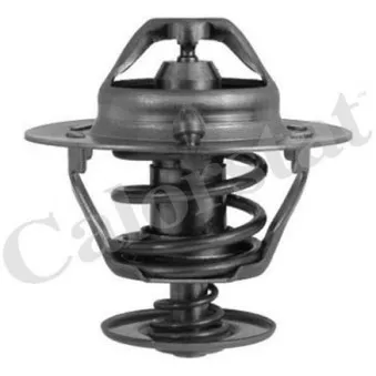 Thermostat d'eau CALORSTAT BY VERNET TH6294.82J