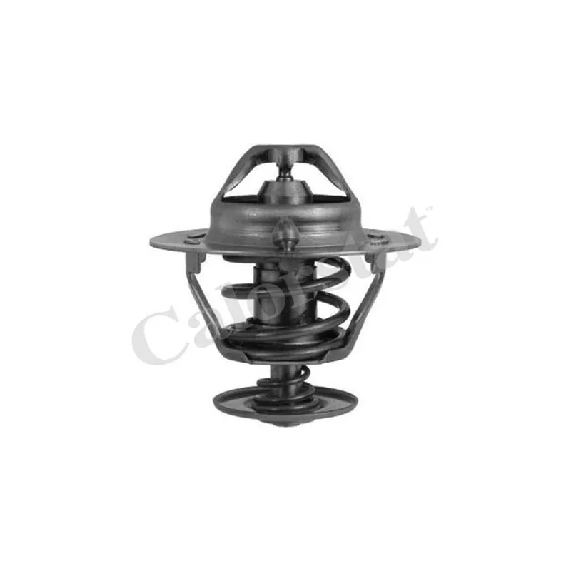 Thermostat d'eau CALORSTAT BY VERNET TH6294.88J