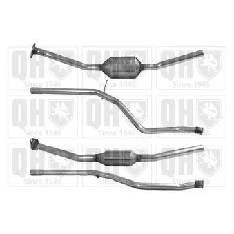 Catalyseur QUINTON HAZELL QCAT80113H