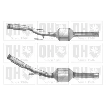 Catalyseur QUINTON HAZELL QCAT80122H