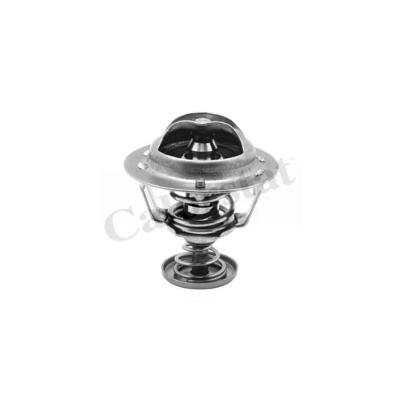 Thermostat d'eau CALORSTAT BY VERNET TH6295.76J
